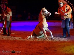 Circus YAKARI Show am 04.10.2024